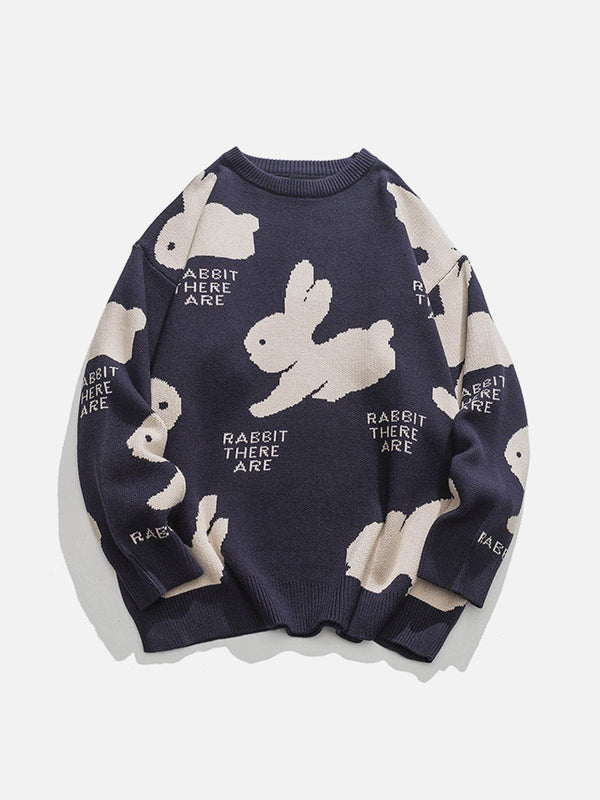 AlanBalen® - Cute Rabbit Sweater AlanBalen